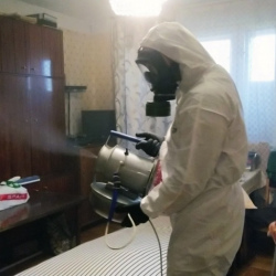 Дезинфекция от клопов в Чухломе
