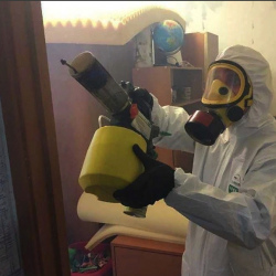 Уничтожение клопов в квартире. Чухлома